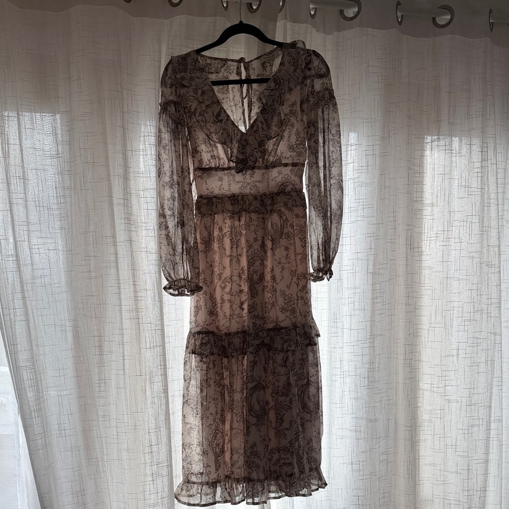 Chic Long Sleeve Sheer Dress